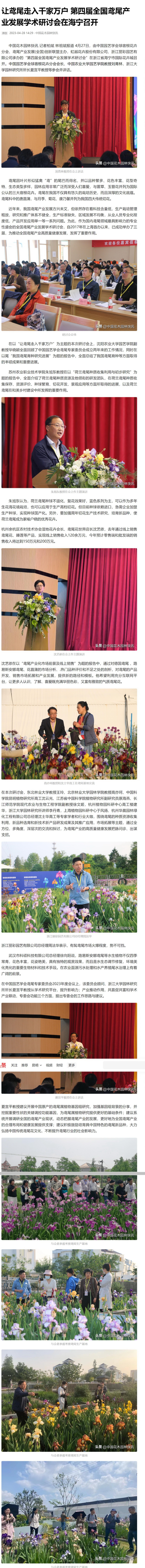 让鸢尾走入千家万户 第四届全国鸢尾产业发展学术研讨会在海宁召开