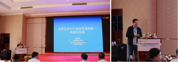 图片9