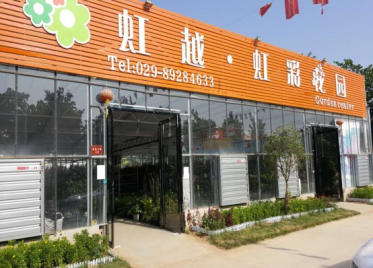 图片6