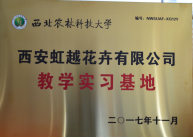 图片13