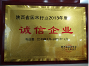 图片12