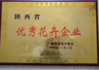 图片10