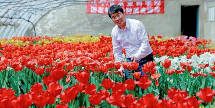 E:\花卉i\郁金香\郁金香育种课题\2017\摄影大赛\1获奖作品\二等奖\辽宁郁金香科研团队带头人1.jpg