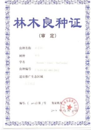 G:\张克资料\教师办公司文件\2017资料\公司申报所有资料\jpg图片格式\百合良种3.jpg