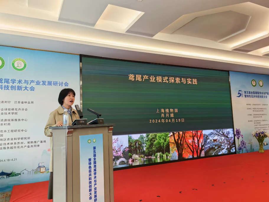 图片5