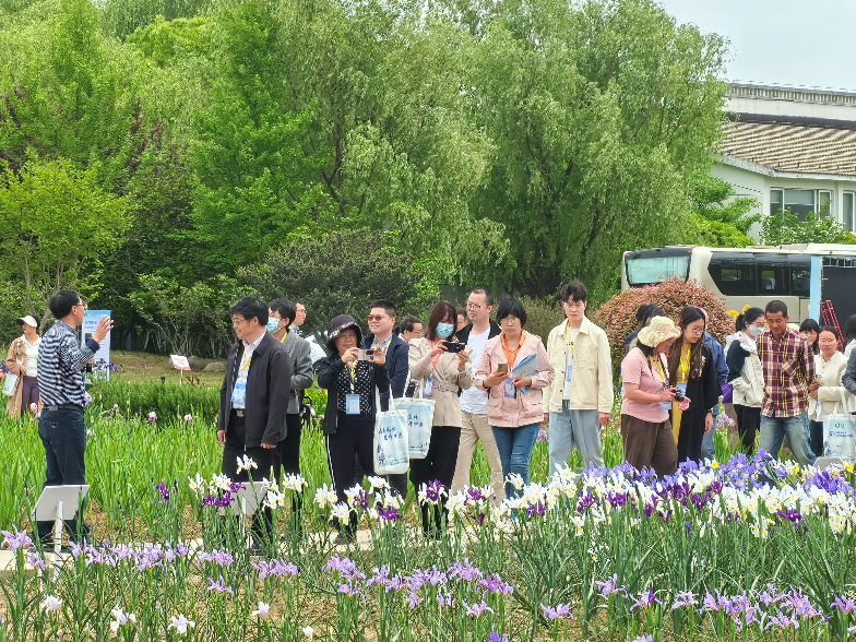 图片12