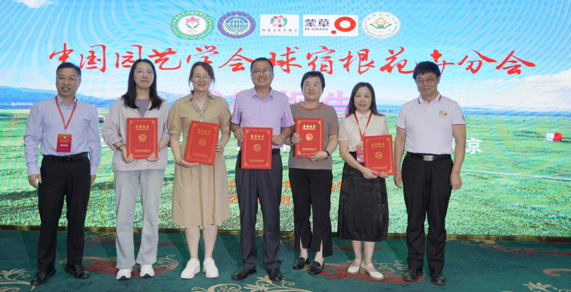 图片9