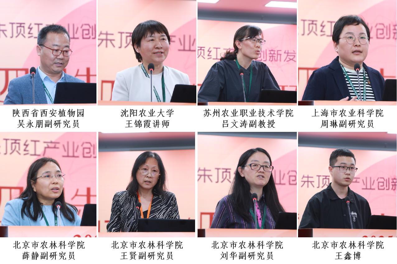 图片5
