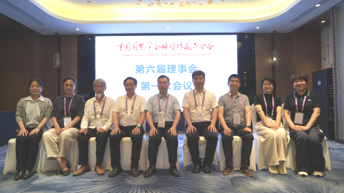 图片19